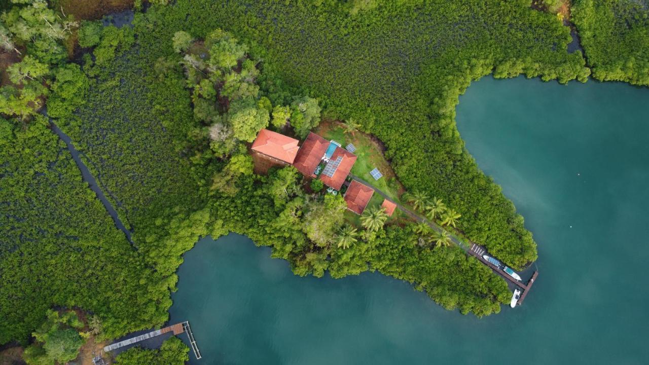 Casa Marlin Bed and Breakfast Bocas del Toro Esterno foto