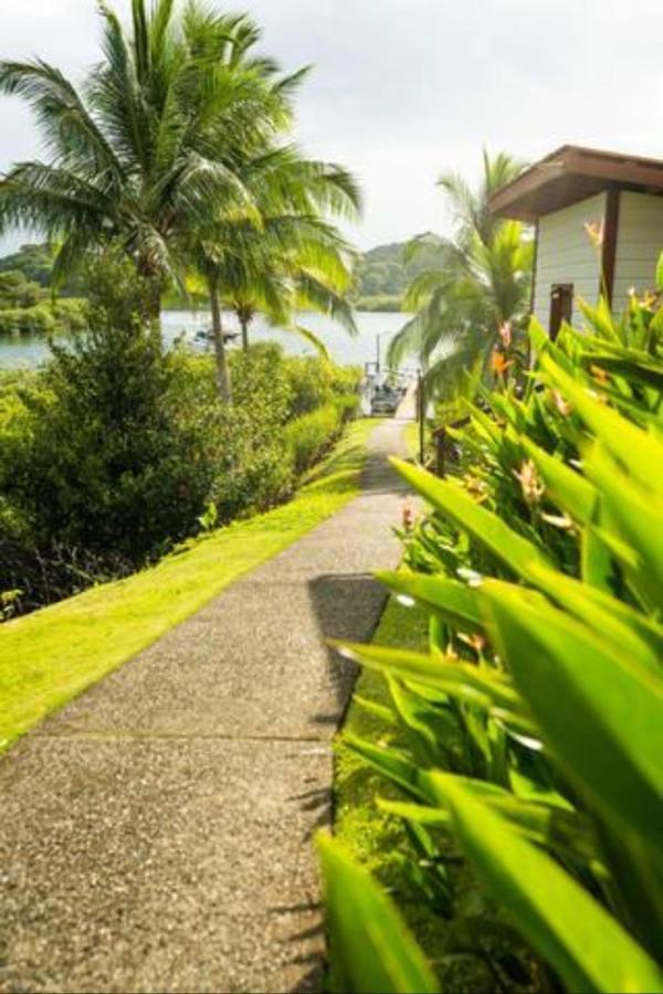 Casa Marlin Bed and Breakfast Bocas del Toro Esterno foto
