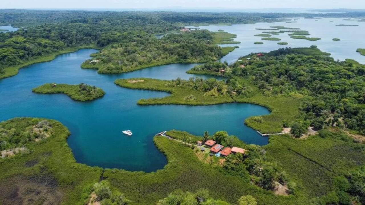 Casa Marlin Bed and Breakfast Bocas del Toro Esterno foto