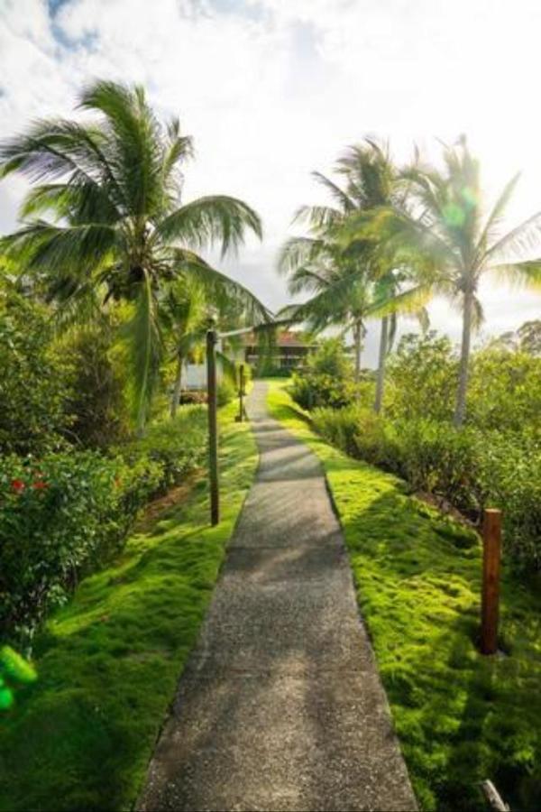 Casa Marlin Bed and Breakfast Bocas del Toro Esterno foto